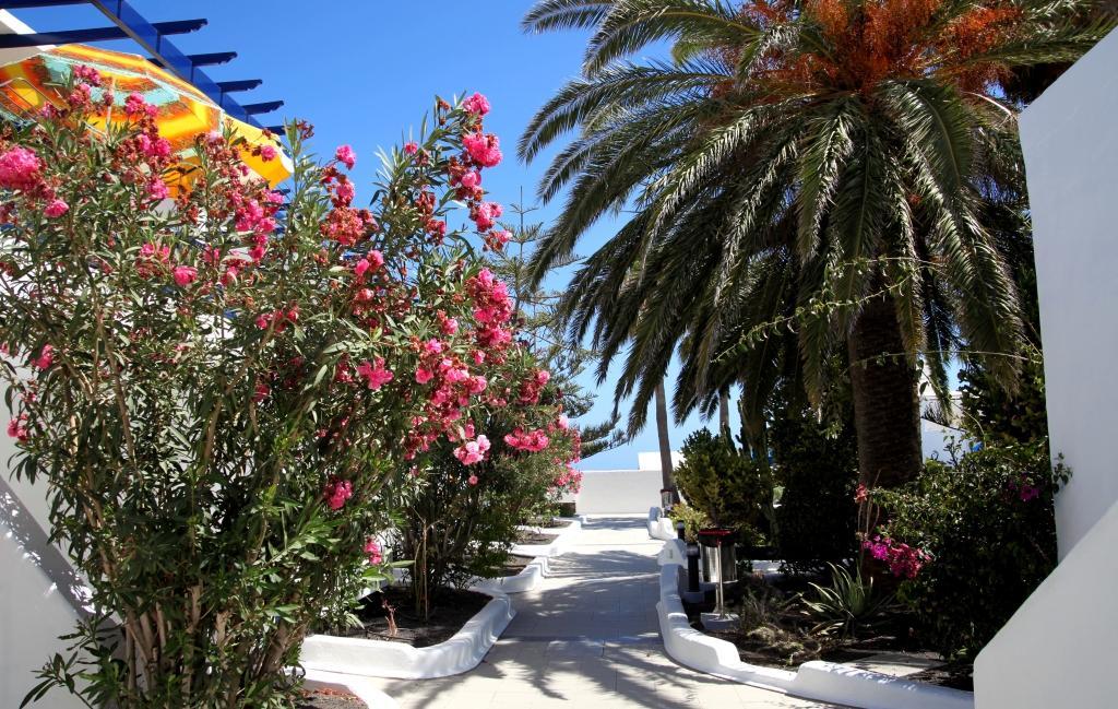 Apartamentos Playamar Puerto del Carmen  Extérieur photo
